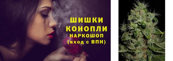 spice Арсеньев